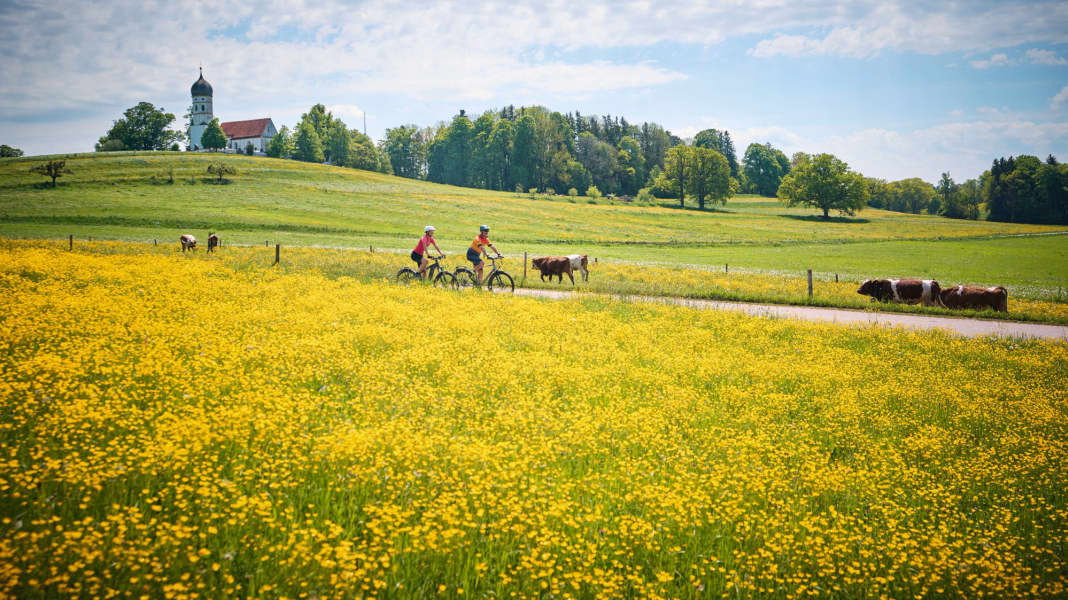 Sicher unterwegs: So vermeiden Sie Insektenstiche beim Radfahren