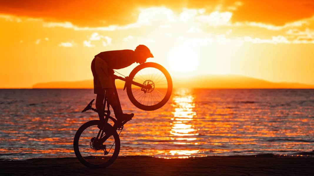 MTB Reifen-Test: Was sind die besten Modelle für Trailbikes?