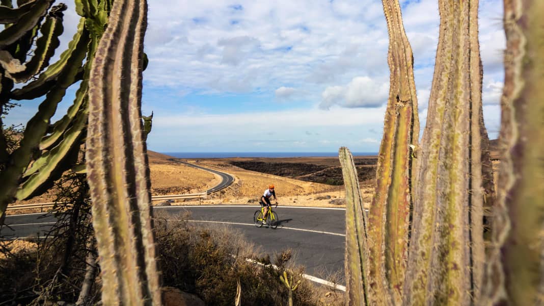 Kanarische Inseln: Vier Rennrad-Touren auf Fuerteventura