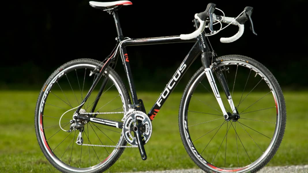 Focus mares expert hotsell