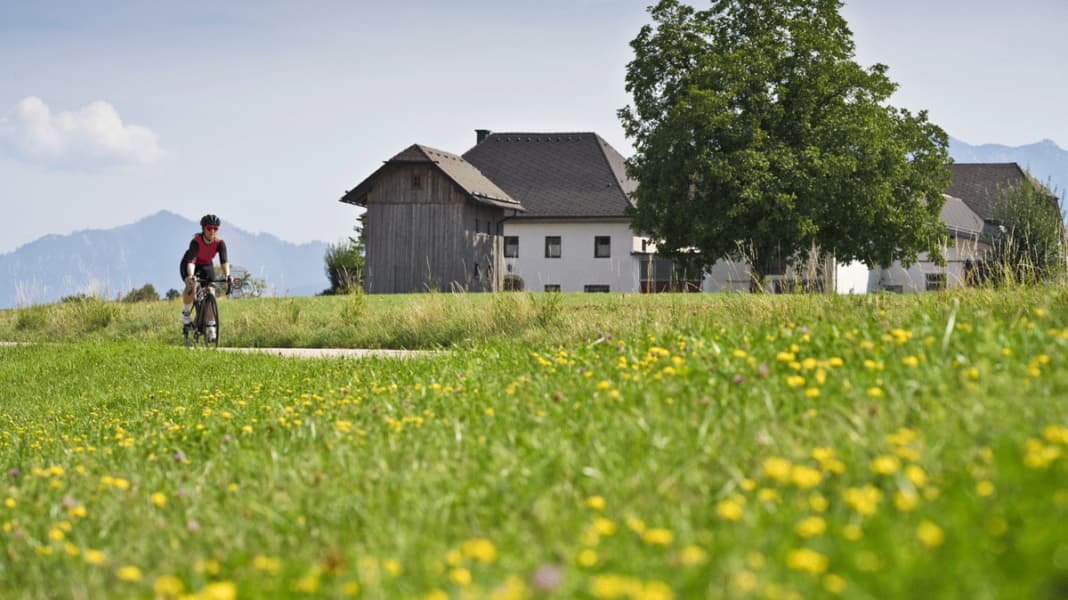 Rennradtouren in Oberösterreich - Tour 4: Von Wels an den Traunsee