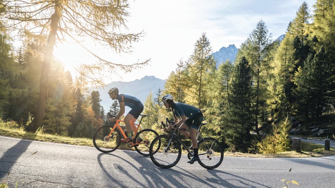 TOUR 12/2019: Marathonrenner im Test - Die beliebtesten Marathonräder im Vergleichstest