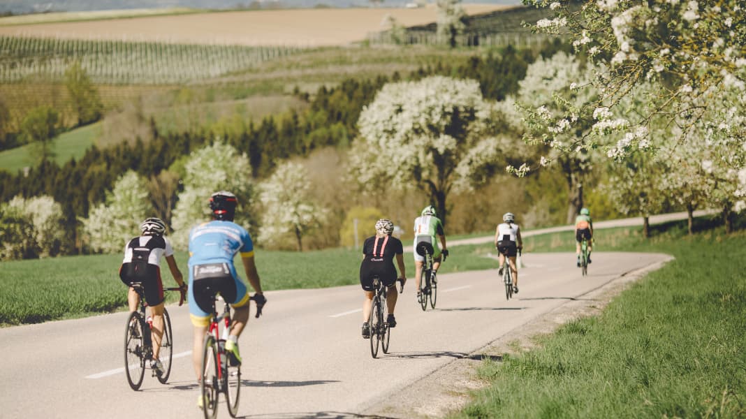 Servus in der Rennradregion Wels – Go where the locals go