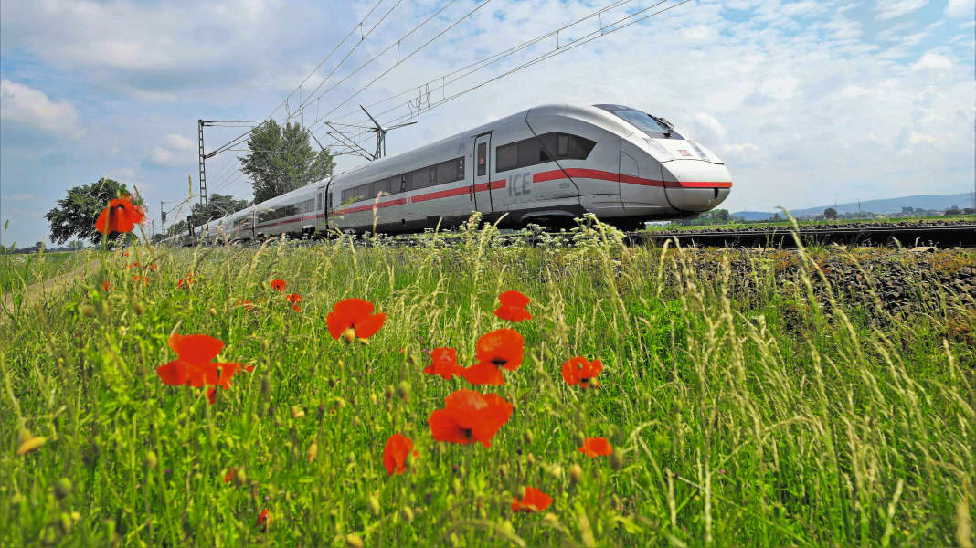 Bahnreisen mit dem Rennrad: Mit dem Rad klimafreundlich in den Urlaub