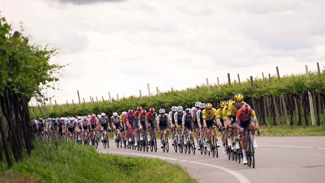 108. Giro: Ex-Weltmeister Pedersen feiert vierten Tagessieg