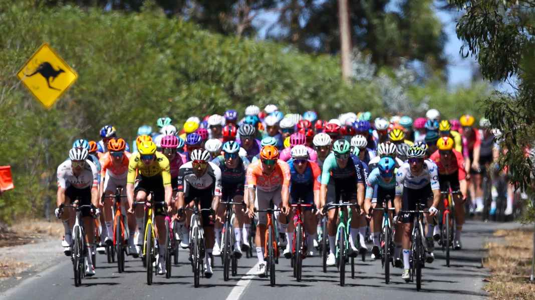 Trotz Crash mit Känguru: Vine gewinnt Tour Down Under