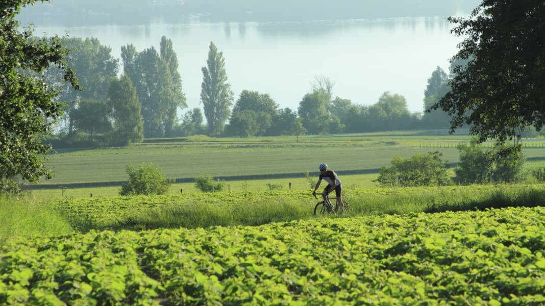 Deutschland: Rennradtouren am Bodensee - 2 Radtouren ab Radolfzell um den westlichen Bodensee