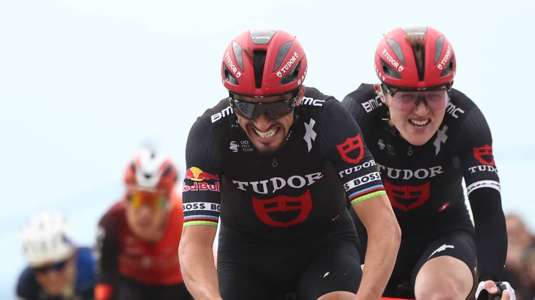 Tour de France 2025: Wildcards vergeben - Teams stehen fest