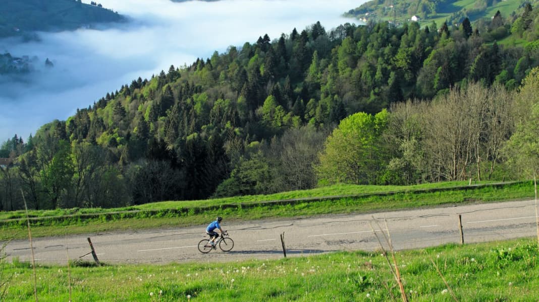 Tour de France 2023: Vogesen zum Zuschauen und selbst erfahren