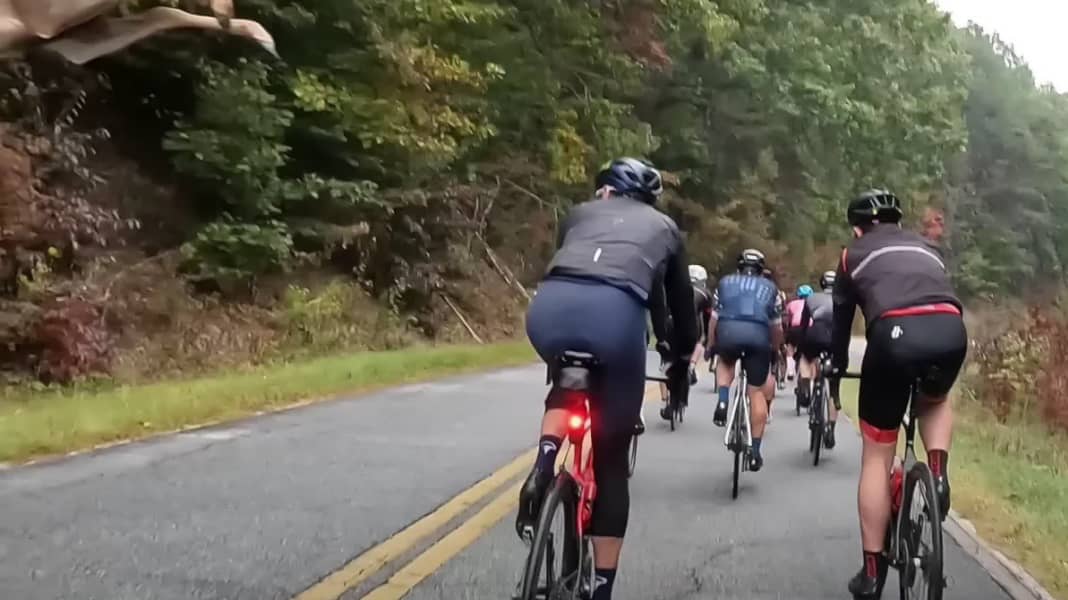 Hirsch im Anflug - Hincapie im Glück