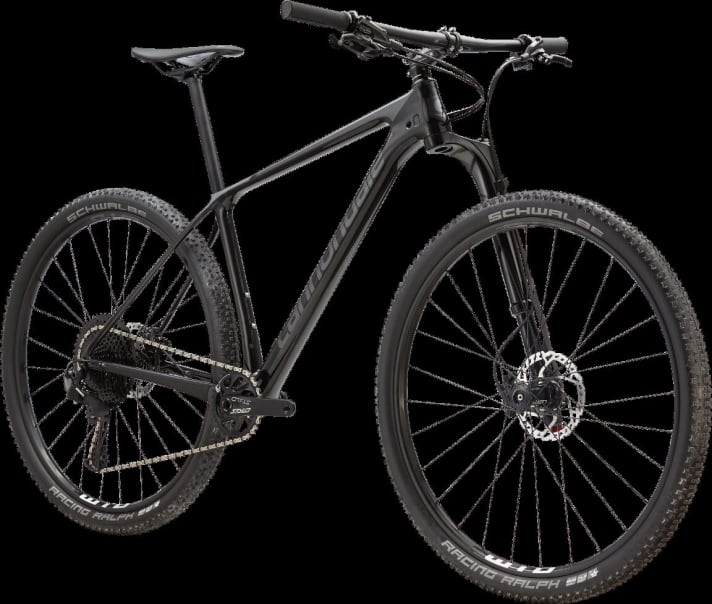   Back in Black. Die günstigste Version des Cannondale F-Si mit Lefty-Gabel kostet 2799 Euro.