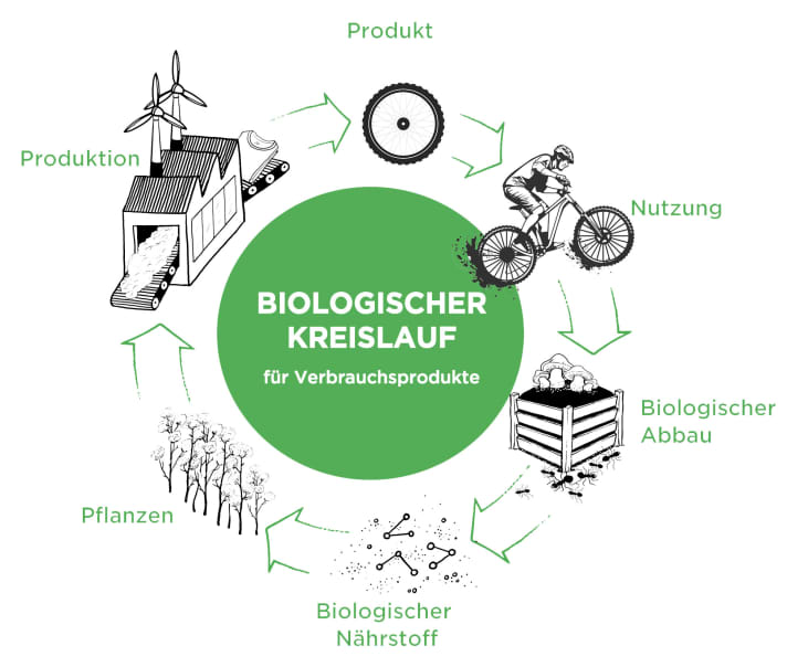 A bicycle tyre is a classic wear part. Because its abrasion is released into the environment as tiny particles, the material must be biodegradable. Studies of seawater show just how great the effect of tyre abrasion (mainly from cars) is on the environment. "A significant proportion of the microplastics in bodies of water can be traced back to tyre abrasion," says Nora Sophie Griefahn.