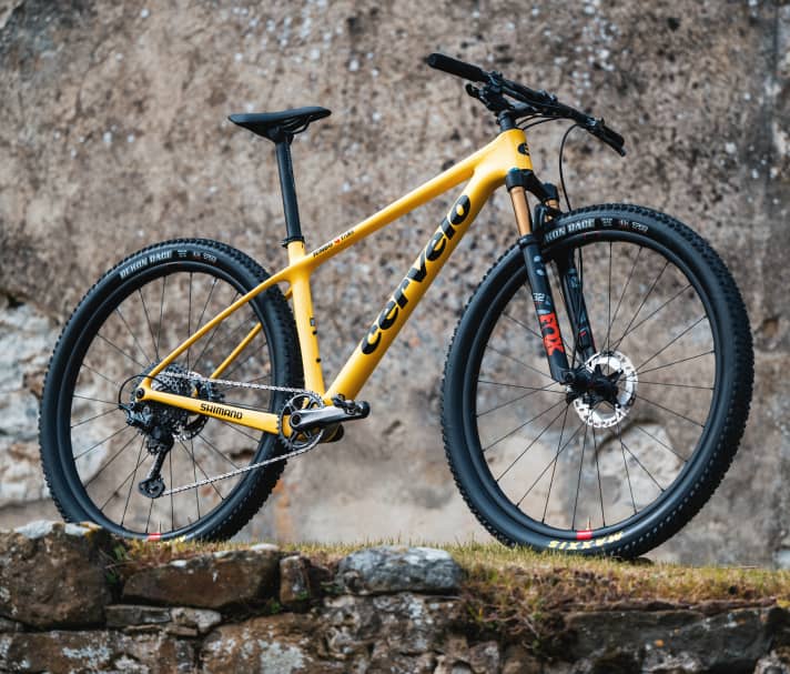 The young Dutchman, Milan Vader, managed to secure several World Cup podium places in his first year in the elite category and finished 10th at the <a href="https://www.bike-magazin.de/events/wettbewerbe/pidcock-holt-olympia-gold/" target="_blank" rel="noopener noreferrer">Olympic Games in Tokyo</a>. 