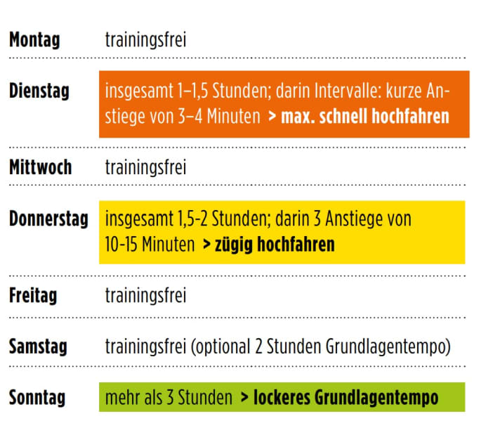 Beispiel Wochenplan Light