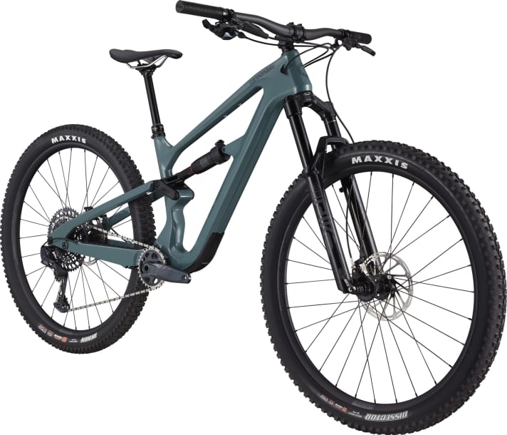 Das Habit Carbon 1 ist die Top-Variante der Carbon Modelle.