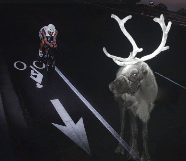   Admittedly, reindeer on the roads are more of a problem in the Nordic countries. But even here, cyclists ride better when they are seen.