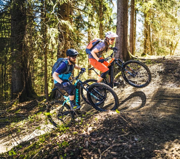   ALL MOUNTAINS: mail-order bike versus specialist dealer bike, trail speedster versus comfort tourer: eight universal talents with a wide variety of characteristics.