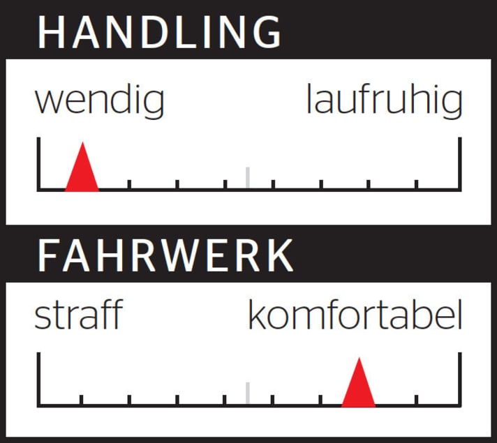   Specialized Demo 8.1