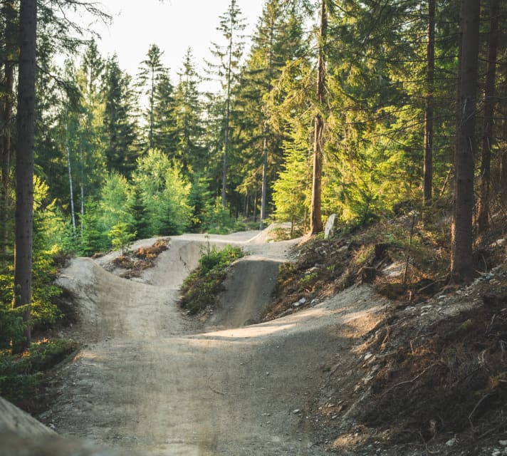 The Wexl trails between Vienna and Graz. We haven't been there yet, but we definitely want to go in 2023. You too!
