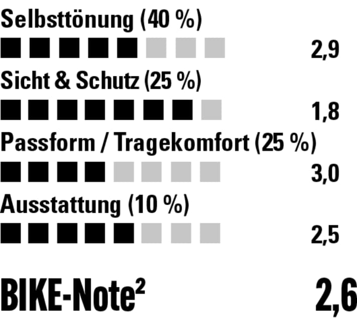 Top Sicht und Schutz aber recht langsam in Sachen Aufhellung. Passt eher auf breite Gesichter