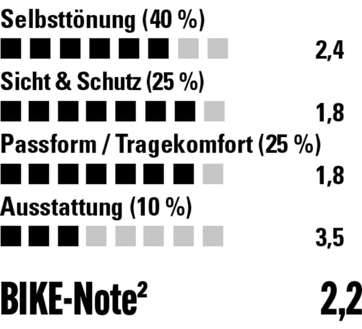 Super Rundumsicht und hoher Tragekomfort sind die Stärken der Rudy. Die Tönungsgeschwindigkeit ist noch ok