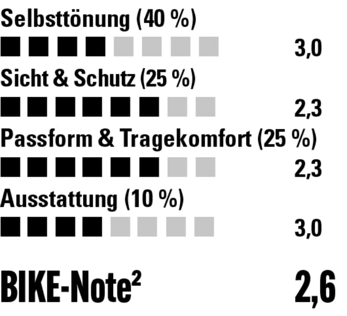 Gute Sicht, ausreichender Schutz, angenehmes Tragegefühl - dafür aber sehr langsame Aufhellung