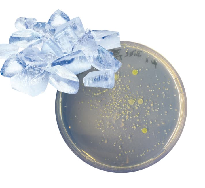 Freezing against odour is an old wives' tale