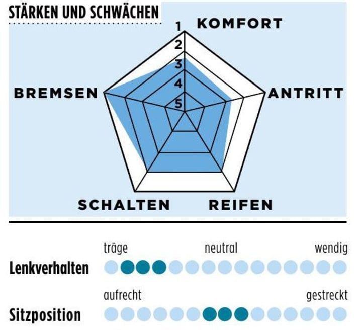 Focus Atlas Carbon 8.8 - Characteristics