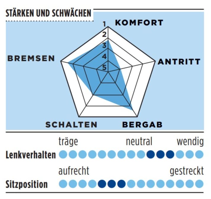 Stärken und Schwächen vom Koga in der TOUR-Grafik