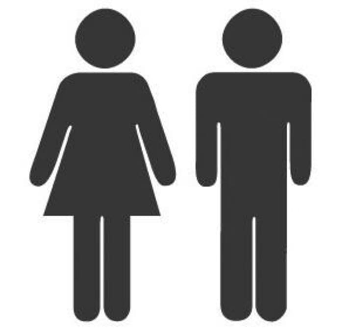   German men have more on their ribs than women.