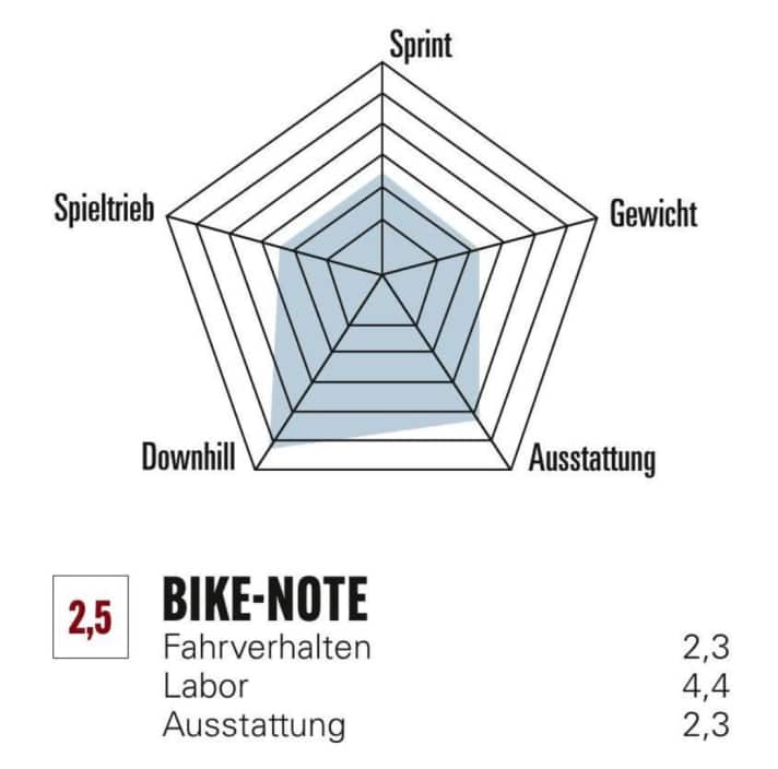 Die BIKE Bewertung zum Canyon Sender CFR Underdog im Überblick