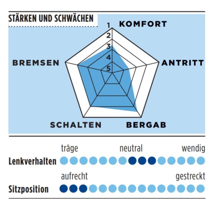 Stärken und Schwächen des Cube Attain GTC Race