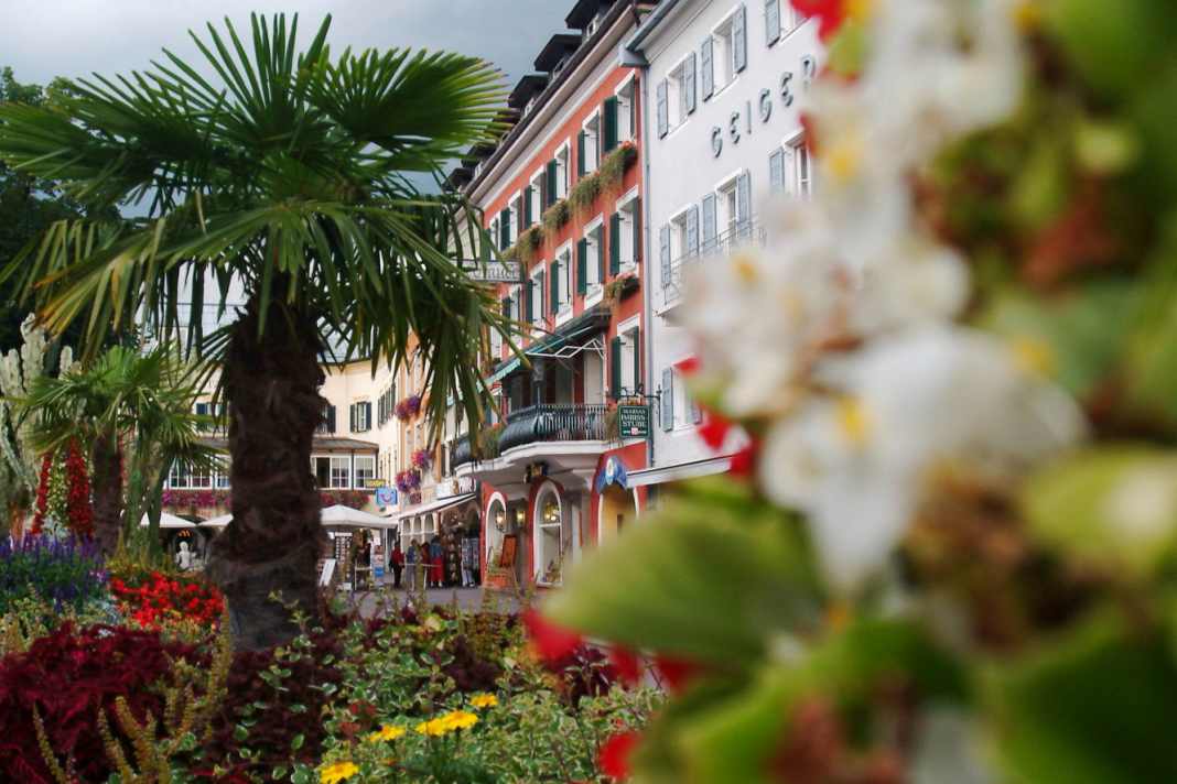 A touch of the Mediterranean. Magnificent flowers and palm trees adorn the main square in Lienz. The star tours start from here.