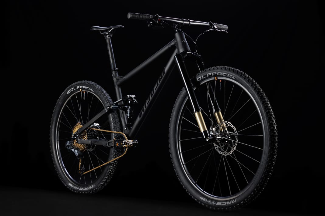 Saturn mtb frame sale
