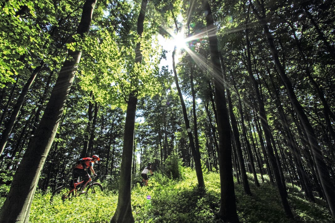 Metres of altitude also await in the north of Germany.