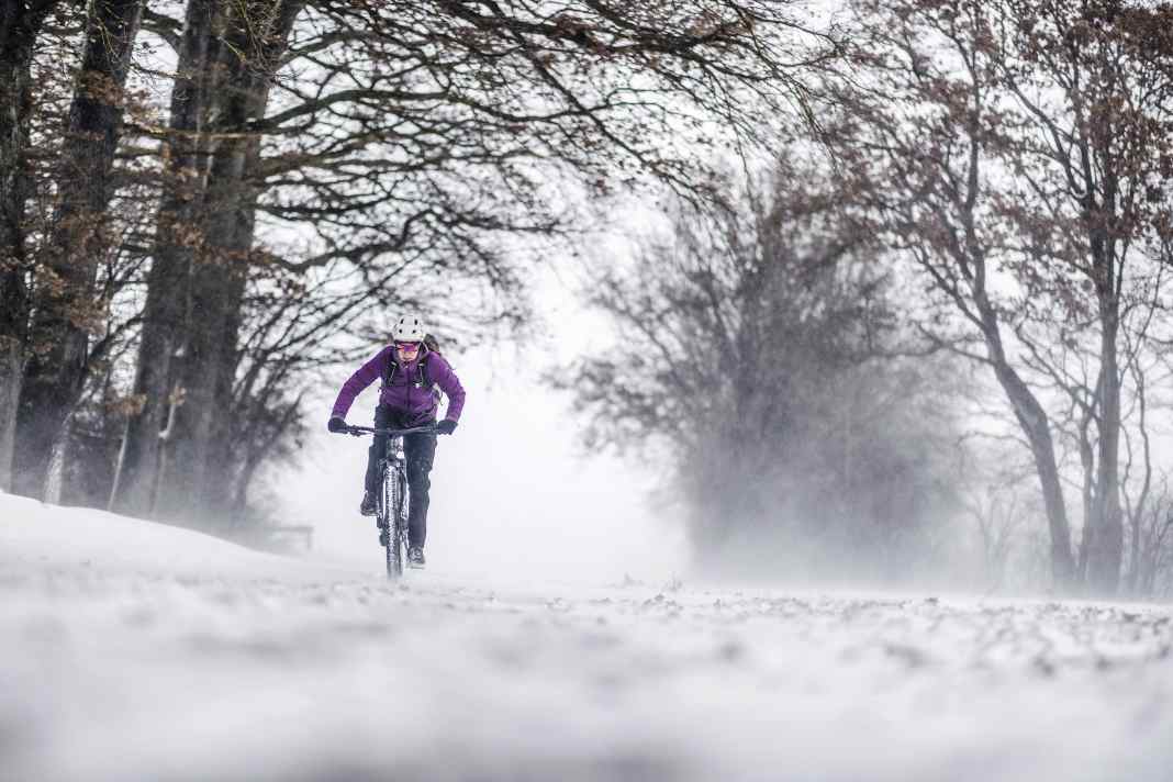 Are you bored of sweating on the roller? Do you also want to ride trails in the ice and cold? Then we have the ideal equipment in our buying guide