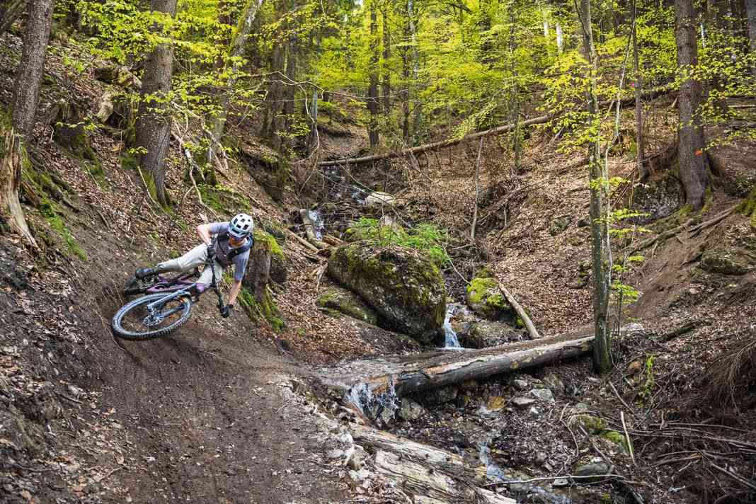The highlight on the Gschwender Horn near Immenstadt: the Neuland Trail
