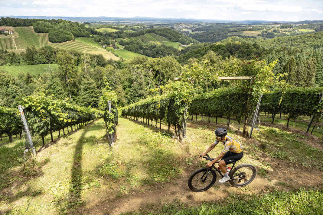 Gravel-Paradies Südsteiermark: Die malerische Hügellandschaft ist nicht das einzige Plus für engagierte Gravelbiker. Das milde Klima, das diese einzigartige Kulturlandschaft an der  Grenze Österreichs zu Slowenien prägt, ermöglicht auch eine lange Aktiv-Saison für Radbegeisterte.