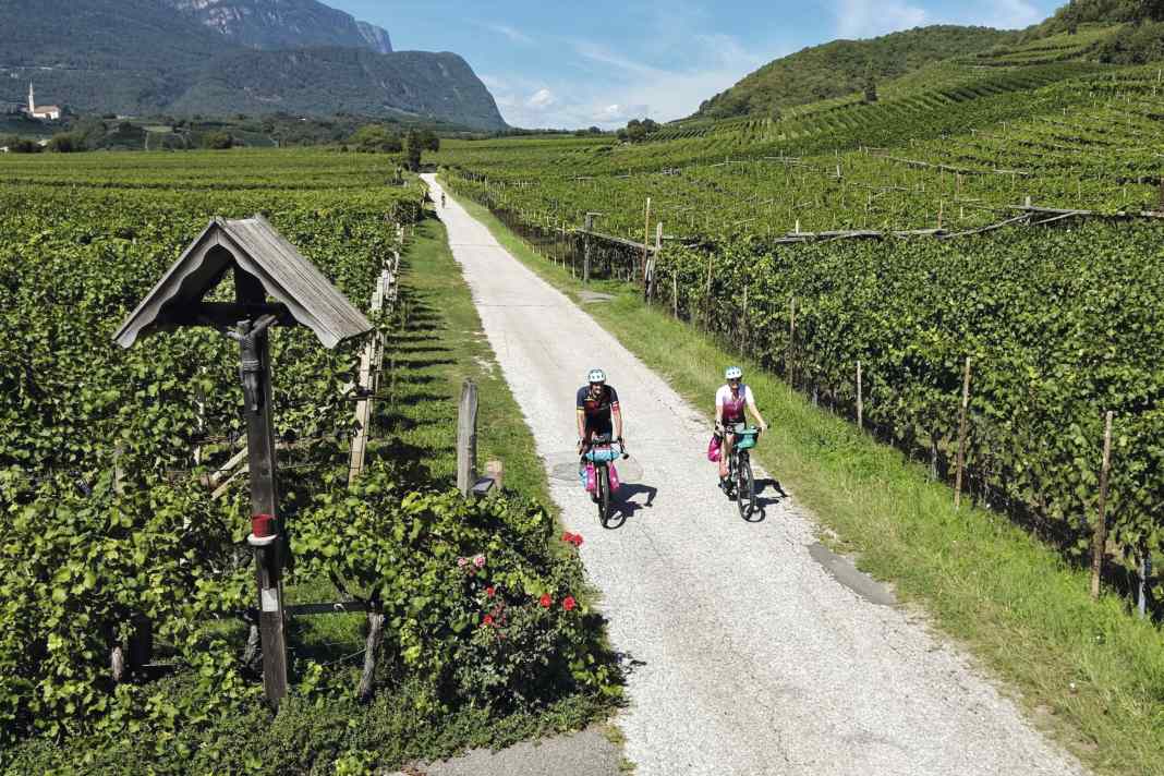 Reben-Highway: Viele der Radwege rund um Leifers verlaufen mitten durch ausgedehnte Weingärten.