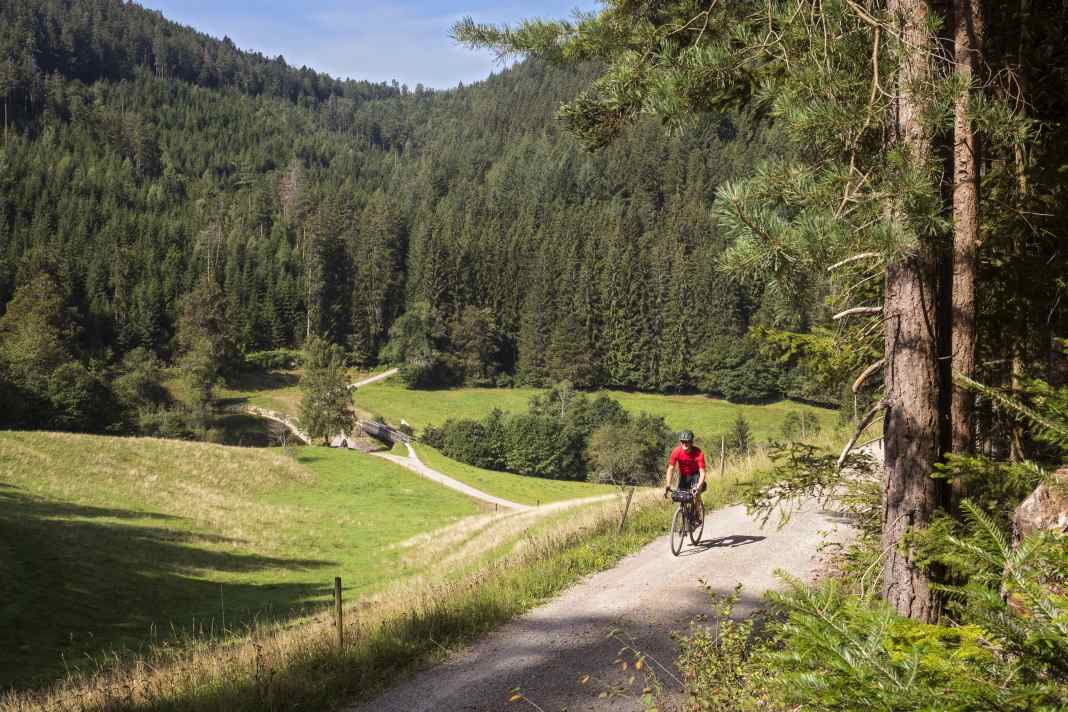 Dense forests, deep valleys: as soon as you
out of Freudenstadt, you dive
on the forest paths deep into the Black Forest.