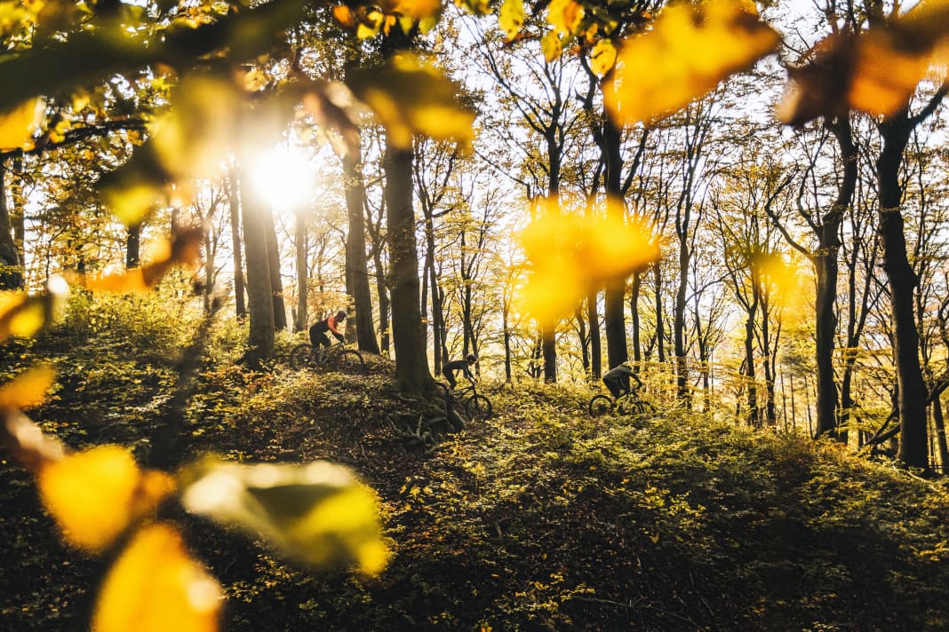 Die Wälder rund um Wien öffnen sich für Biker. Trail für Trail.