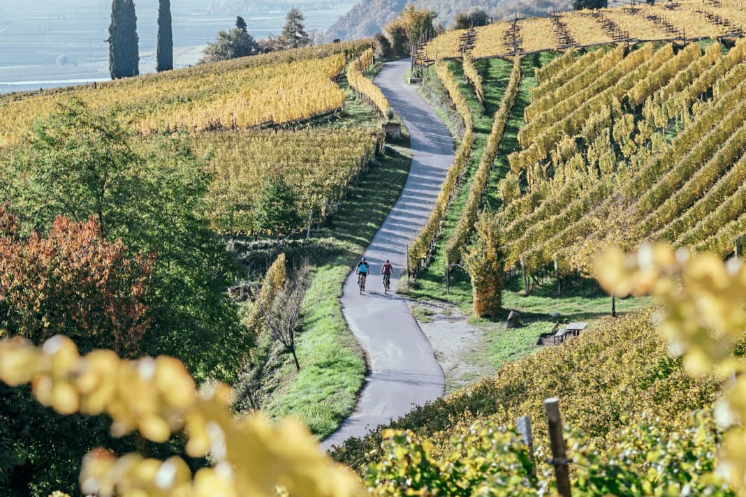 In Südtirol ­befinden sich ­einige der schönsten Weinregionen überhaupt – ideal für Radfahrer.