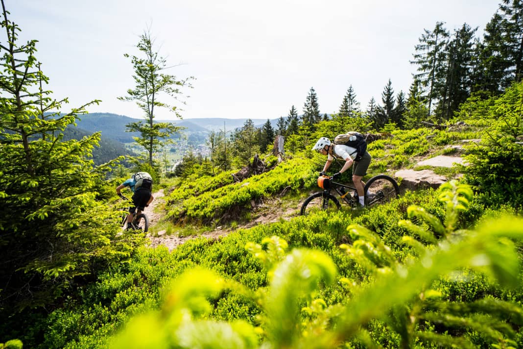 The legal trail is the goal: three days through the forests between Baiersbronn and Sasbachwalden - that's all you really need.