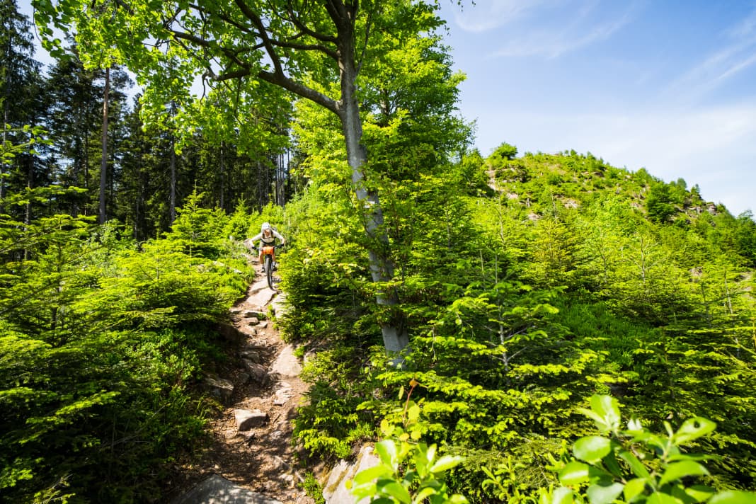 Die Trails rund um Baiersbronn haben durchaus sportlichen Charakter.