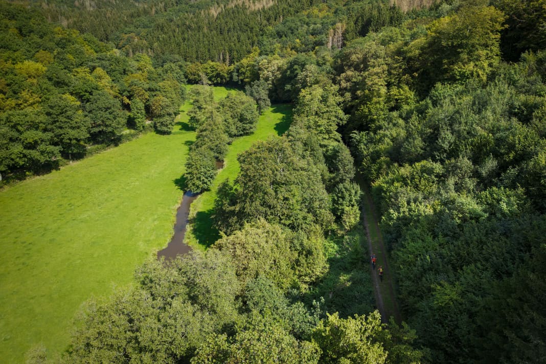 Ösling heißen die luxemburgischen Ardennen vorort.
