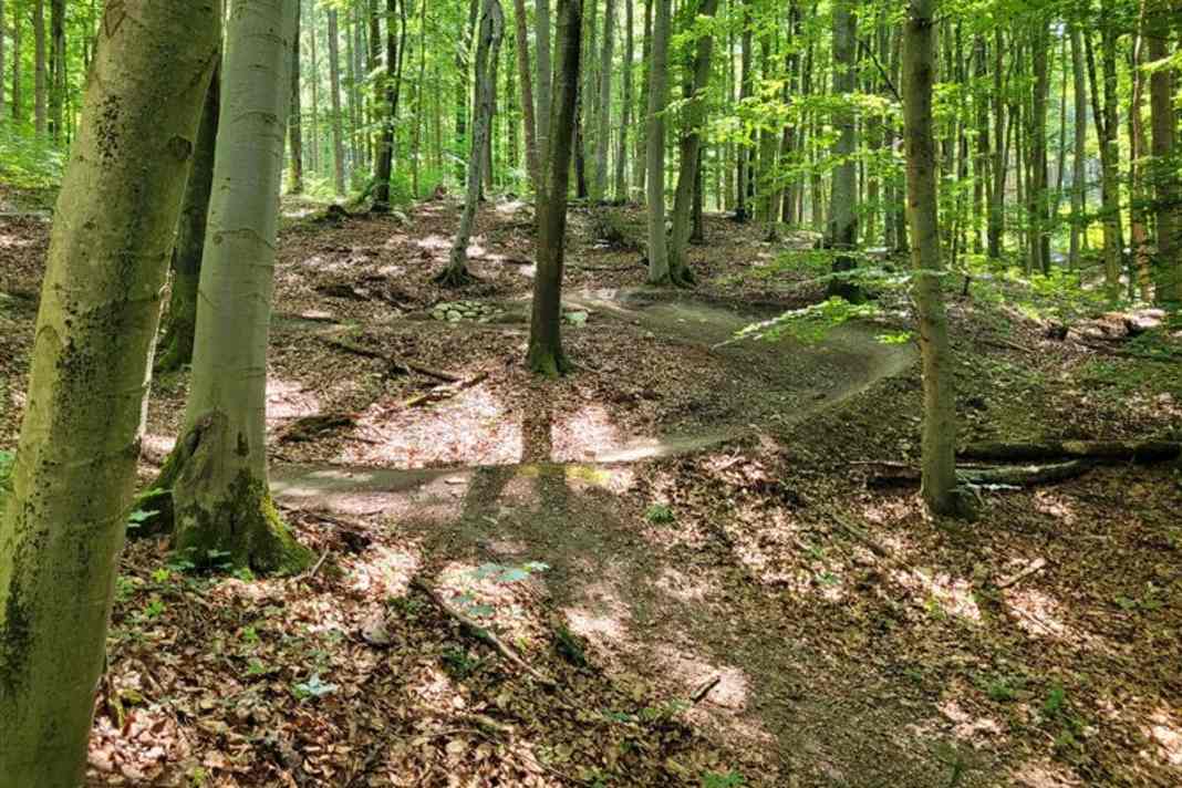 Harmonisch ins Gelände verlegt. Sieht nach Spaß aus!