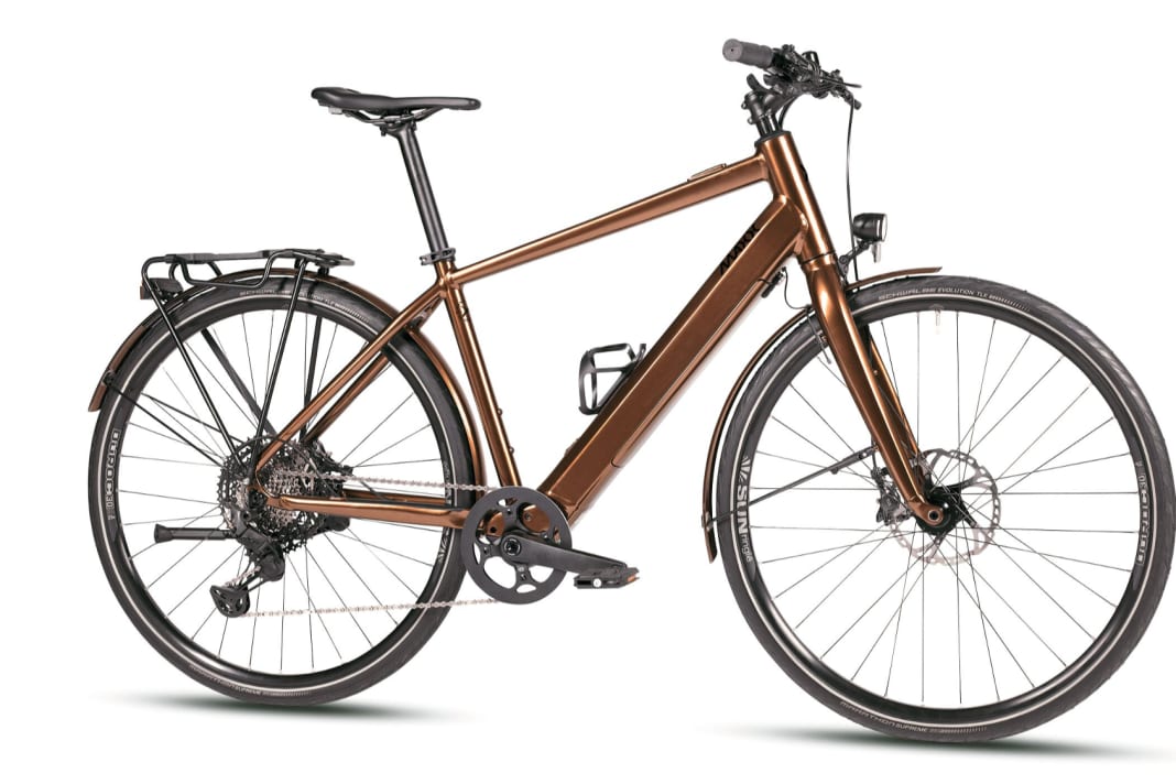 E Bikes bis 20 Kilo Das Maxx Roadmaxx Elf Tour im Test BIKE