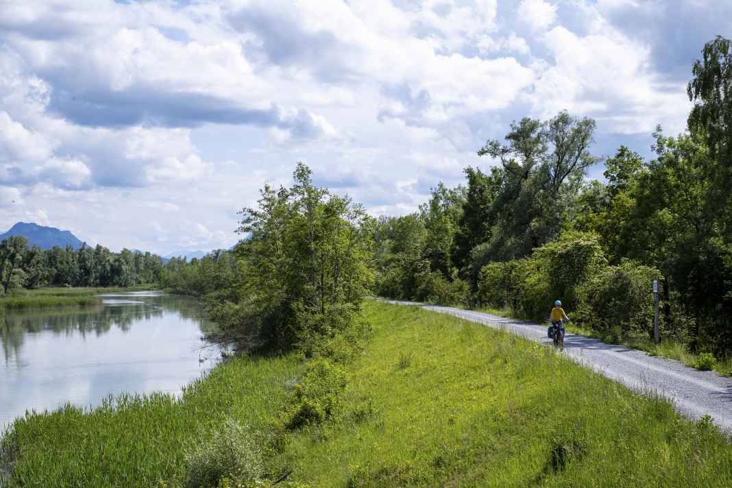 Auftakt zum zweiten Teil des Mozart-Radwegs: Bei Rosenheim vermittelt ein Totarm des ansonsten sehr begradigten Inns ein wenig Urwald-Feeling.