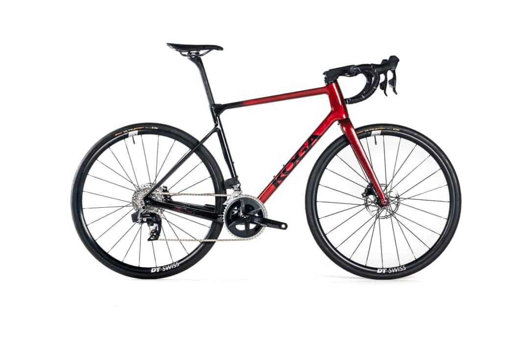 The Koga Roqa Premium