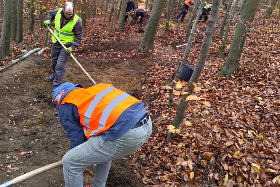Letzter Feinschliff, bevor die Himmelsleiter Trails am 30.8. feierlich freigegeben werden.